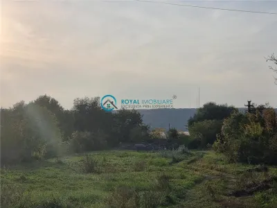 Royal Imobiliare - Vanzare teren zona Boldesti Scaieni - foto 1