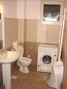ROYAL IMOBILIARE - Vanzare vila zona Nord - foto 12