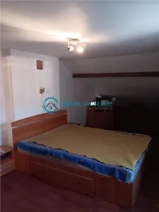 Royal Imobiliare - Vanzare casa in zona Bereasca - foto 7