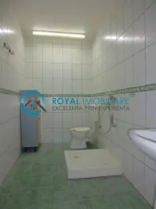 Royal Imobiliare - Vanzare Vila Zona Cantacuzino - foto 25