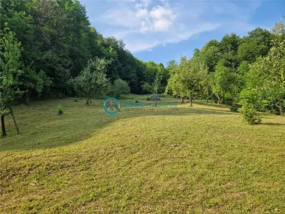 Royal Imobiliare - Vanzare casa Valea Tarsei - Breaza - foto 13