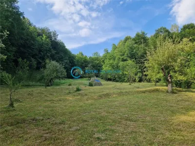 Royal Imobiliare - Vanzare casa Valea Tarsei - Breaza - foto 15