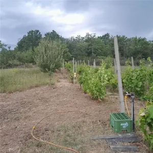 Teren pentru casa cu proiect in Tomesti zona biserica centru! Toate utilitatile!La asfalt! - Iasi