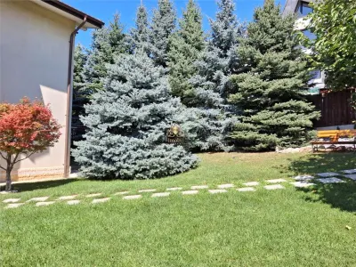 Vila eleganta -  proiect deosebit crama garaj sala de fitnes foisor si 825m teren Plopii fara sot Bucium. - foto 18