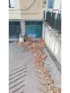APARTAMENT 4 CAMERE TATARASI NEUROCHIRURGIE CU BECI SI GARAJ ! - foto 2