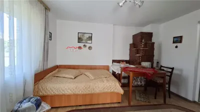 Casa cu teren 2783 mp- Panciu-Satu Nou - foto 4