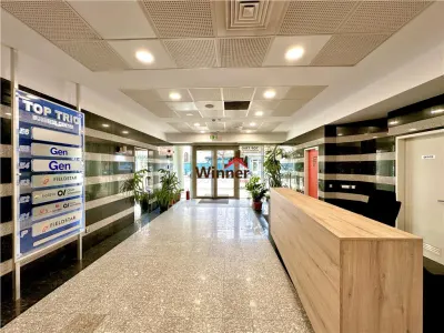 Birouri 290 mp Armand Călinescu | Open Space Compartimentabil | Terasă 210 mp Bonus - foto 6