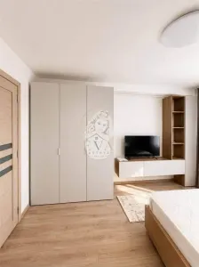 GARSONIERE DE VANZARE IN TITAN- DIRECT DEZVOLTATOR - foto 6