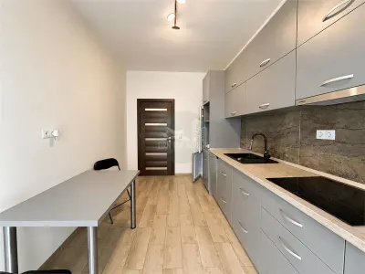 Studio cu gradina zona Selimbar - foto 3