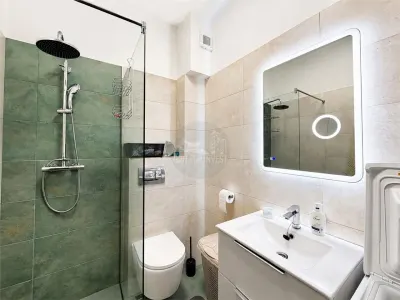 Studio cu gradina zona Selimbar - foto 8