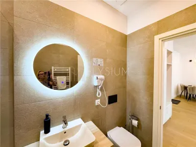 Apartament de inchiriat 2 camere Stefan cel Mare Complex Central - foto 15