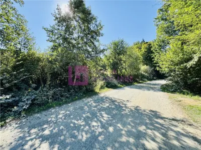 Teren intravilan 3000 mp | Valea Avrigului | deschidere 80 ml - foto 3