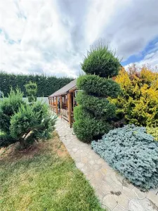 BUZIASULUI - CASA INDIVIDIUALA PREMIUM - 4 CAMERE LUX  3 BAI - PISCINA - GARAJ - TEREN 712mp - foto 3