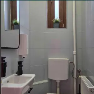 Inchiriere Vila 16 camere zona Pache Protopopescu Bucuresti - foto 18