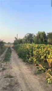 Teren Intravilan Giurgiu,Ocazie!Pret  mic! - foto 3