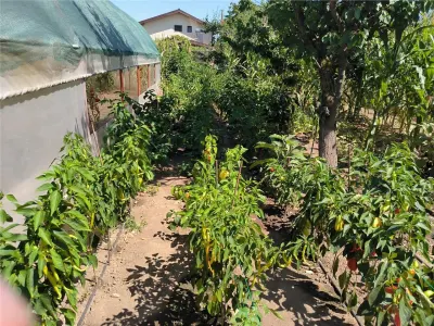 Casa de vanzare in sat Novaci , teren de 865 mp, acces asfaltat,Ocazie! - foto 12