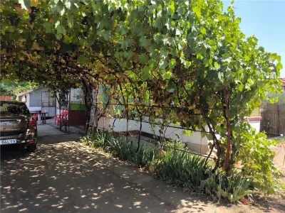 Casa de vanzare in sat Novaci , teren de 865 mp, acces asfaltat,Ocazie! - foto 17