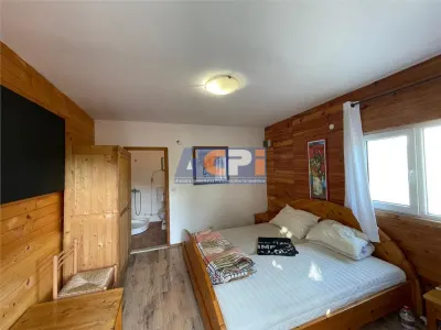 310 mp-Vila, P+M si P+1E, Valea Budului, Bacau - foto 11