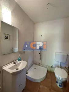 310 mp-Vila, P+M si P+1E, Valea Budului, Bacau - foto 13