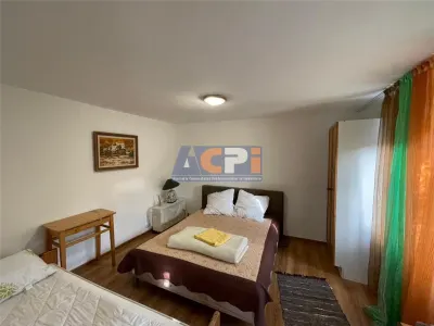 310 mp-Vila, P+M si P+1E, Valea Budului, Bacau - foto 8