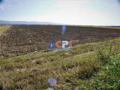 Teren iesire din Nicolae Balcescu, la 200ml de E85 Bacau - foto 4