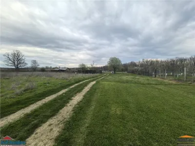 Teren zona agrement padure Vladimirescu - foto 2