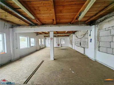 Hala de 300 mp - central - in zona Parneava - foto 10