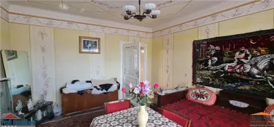 Casa pentru spatiu comercial pe calea Radnei - strada principala - foto 13