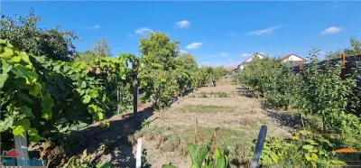 Casa pentru spatiu comercial pe calea Radnei - strada principala - foto 21