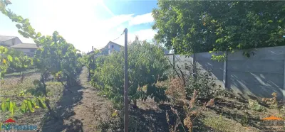 Casa pentru spatiu comercial pe calea Radnei - strada principala - foto 22