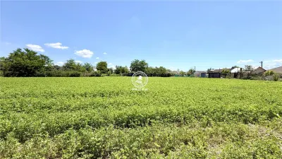 Oportunitate rară de investiție | Casă cu teren de 2.922 mp în Țigănași - foto 6