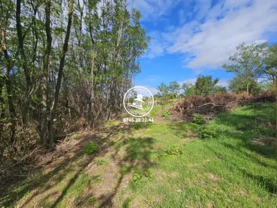 Teren intravilan 904 mp, langa padure - Aroneanu , Iasi - foto 3