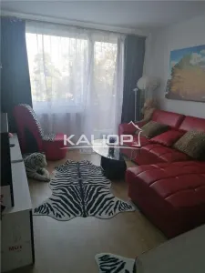 Apartament cu 2 camere | semidecomandat  | Gheorgheni - foto 13