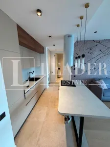 Inchiriere apartament I Herastrau - foto 2