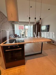 Inchiriere apartament I Herastrau - foto 6