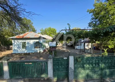 Casă + teren 20.000 mp Urluieni (Bârla) – deschidere mare, livadă și vie - foto 8