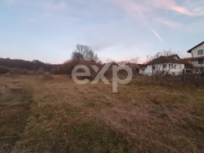 Teren intravilan 5.000 mp de vânzare – Curtea de Argeș, Capul Dealului - foto 7