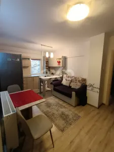 Apartament 3 camere Eremia Grigorescu | Etaj 1/4 - foto 8