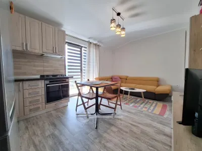 Apartament 2 camere Popas Pacurari Valea Lupului, mobilat complet, parcare inclusa - foto 2