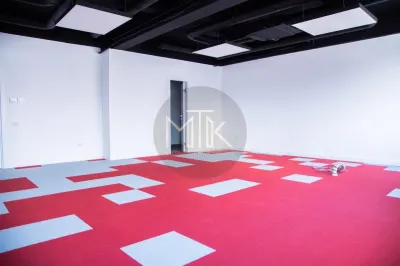 Inchiriere spatiu de 611 MP in Dorobanti - foto 16