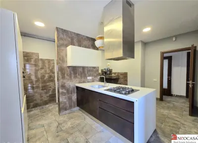 Eleganta interbelica : Apartament cu 6 camere si terasa, ideal pentru birouri sau rezidenta exclusivista - foto 9