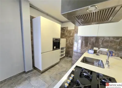 Eleganta interbelica : Apartament cu 6 camere si terasa, ideal pentru birouri sau rezidenta exclusivista - foto 10
