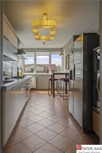 PTA CHARLES DE GAULLE, PENTHOUSE ET 4+5, 390 MP, GARAJ, BOXA! - foto 12