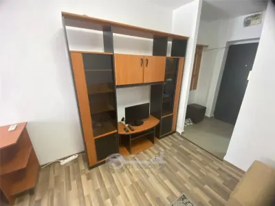 Apartament 1 cameră | Tudor Vladimirescu – Campus Studențesc | Renovat complet | Pet Friendly - foto 4