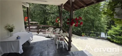 Vila din padure in Valea Doftanei - foto 4