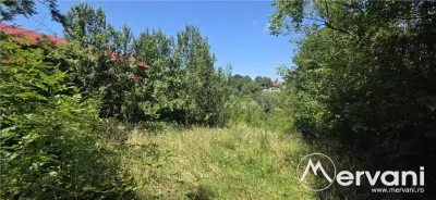 Teren 4.519 mp intravilan de vanzare in Breaza - foto 3