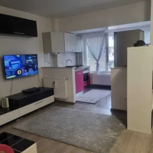 Apartament 1 camera mobilat, utilat - Pacurari - foto 1