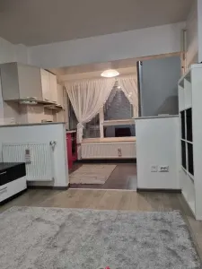 Apartament 1 camera mobilat, utilat - Pacurari - foto 3
