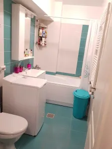Apartament 1 camera mobilat, utilat - Pacurari - foto 7