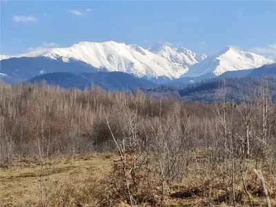 Teren intravilan 2500mp  pe Valea Avrigului,optim casa de vacanta - foto 14